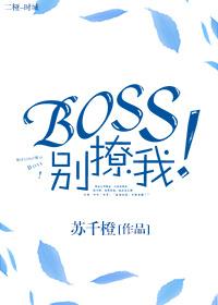 Boss别撩我! 沐今夏